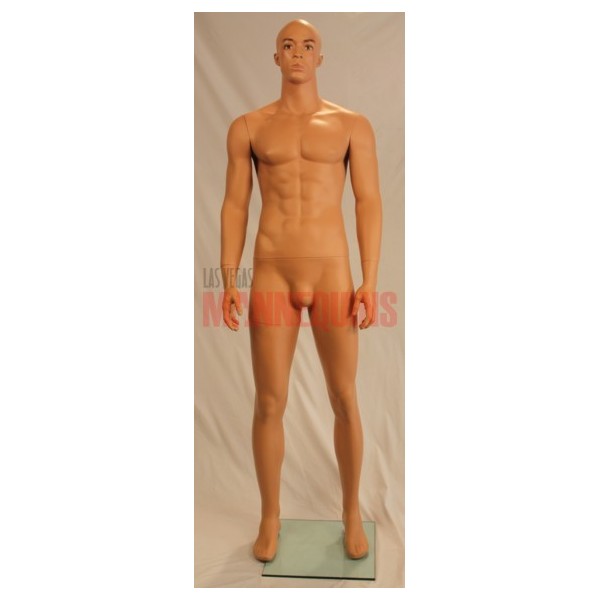 Rental Male Ethnic Mannequin - Las Vegas Mannequins