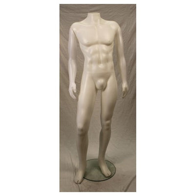 Rental Male Plastic Headless Mannequin - Las Vegas Mannequins