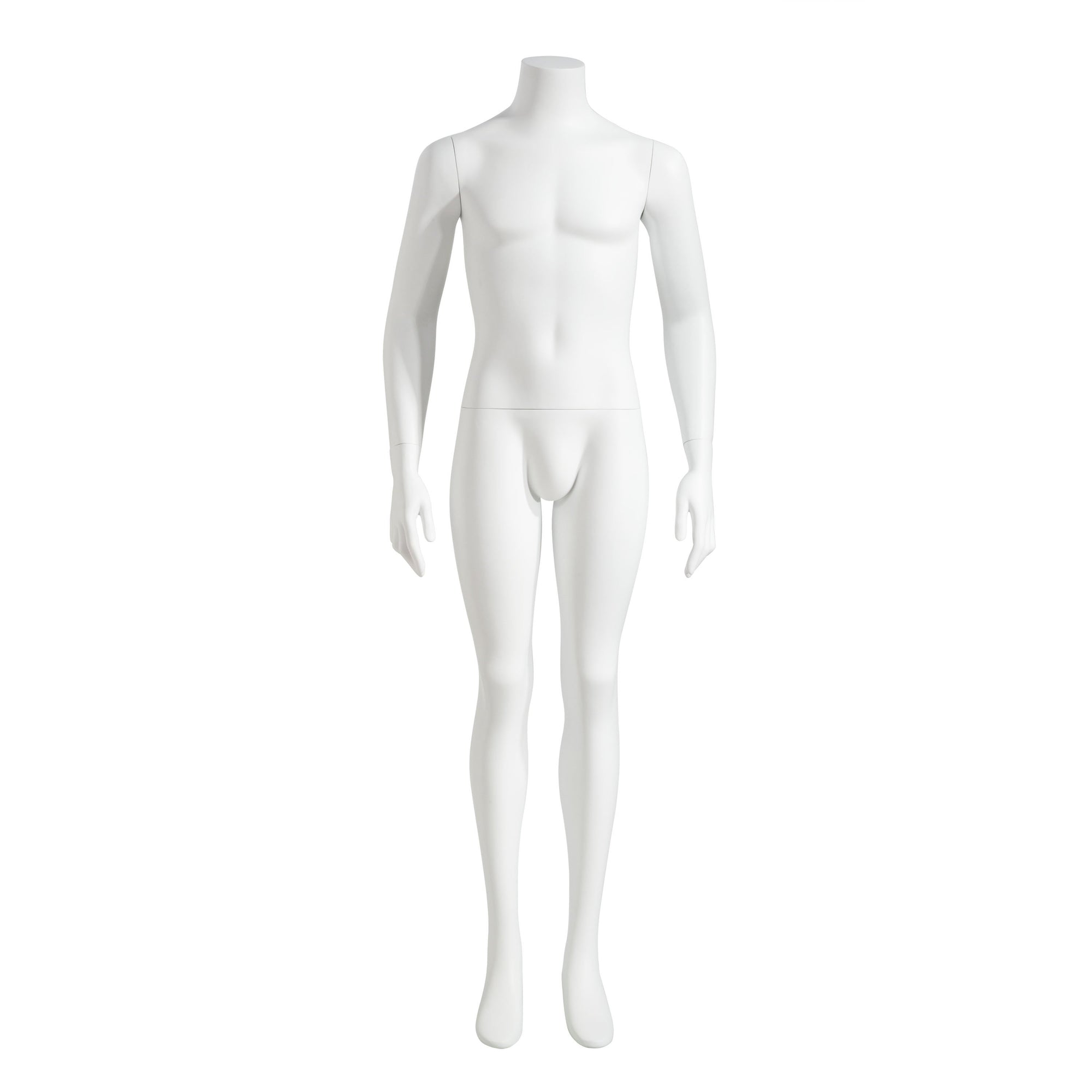 Male Mannequin - Headless, Arms at Sides - Las Vegas Mannequins