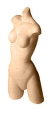 Female Torso - Las Vegas Mannequins