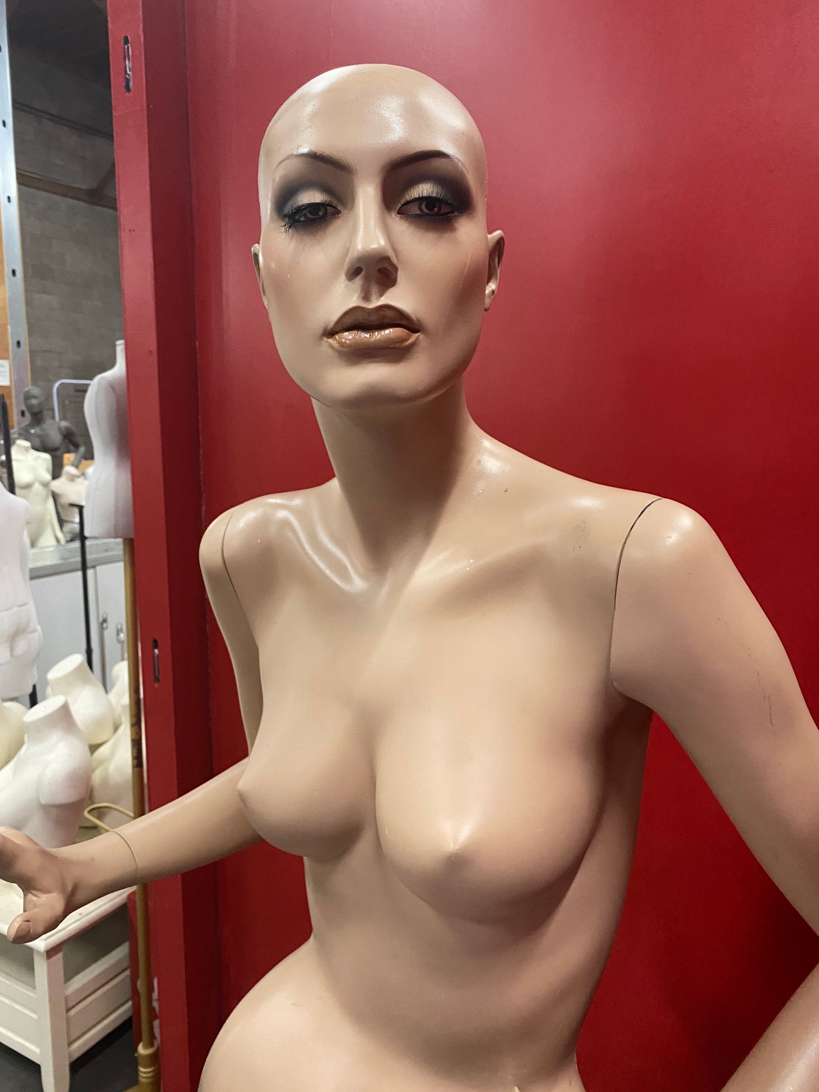 Rootstein Brand Female Mannequin Model SD6 0/3762 - Las Vegas Mannequins