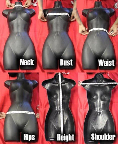 Female Half Torso Injection Mold - Las Vegas Mannequins