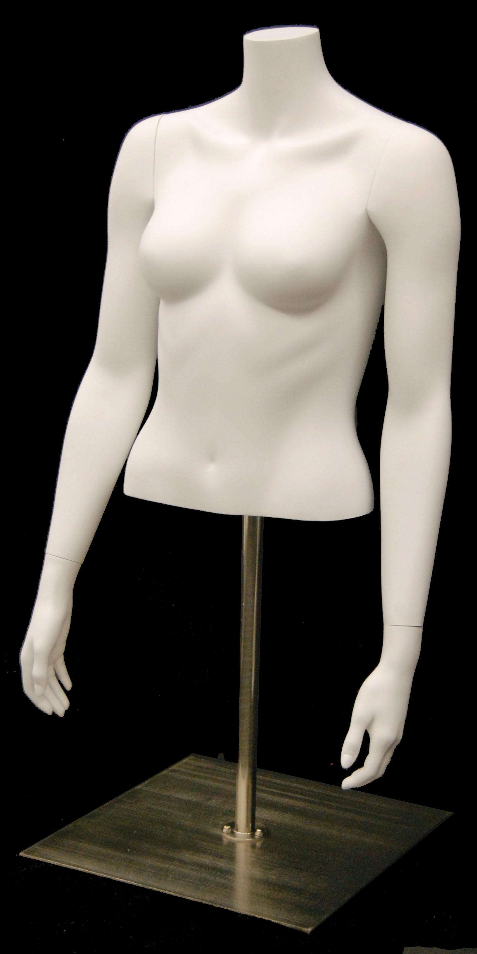 Female Torso - Las Vegas Mannequins