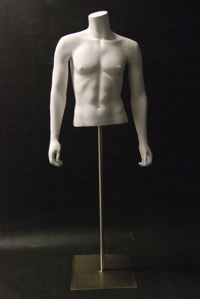 Male Torso - Las Vegas Mannequins