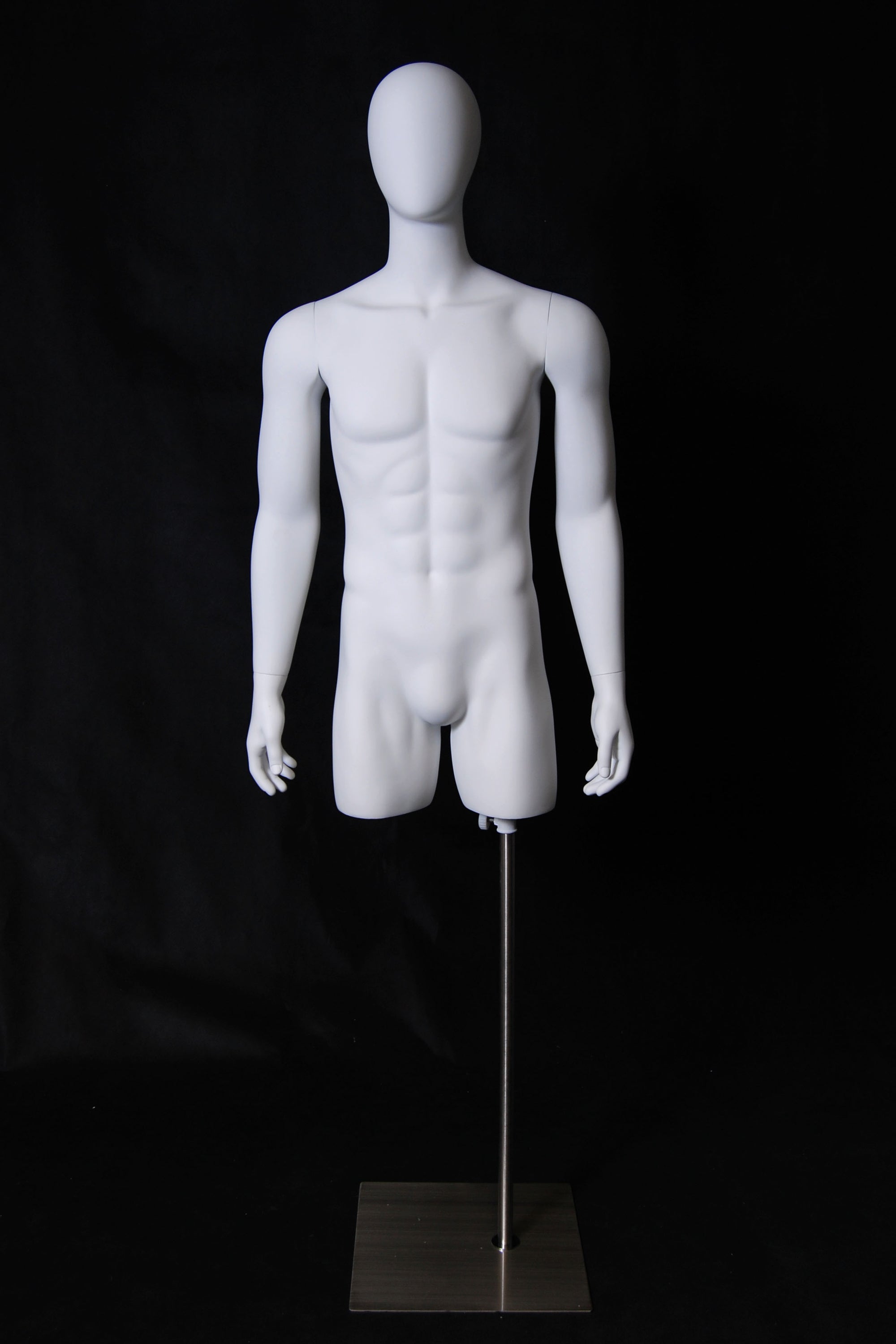 Male 3/4 Torso W/Head - Las Vegas Mannequins